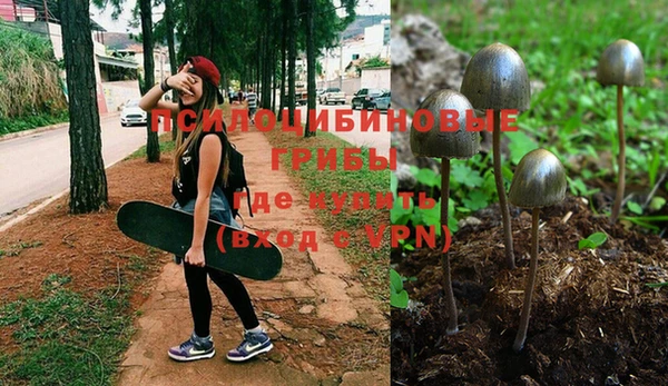 ECSTASY Белокуриха