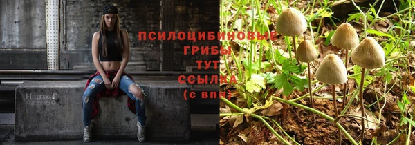 амф Белоозёрский