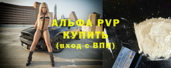 ECSTASY Белокуриха