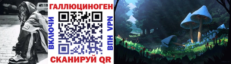 Псилоцибиновые грибы Psilocybine cubensis  Южноуральск 